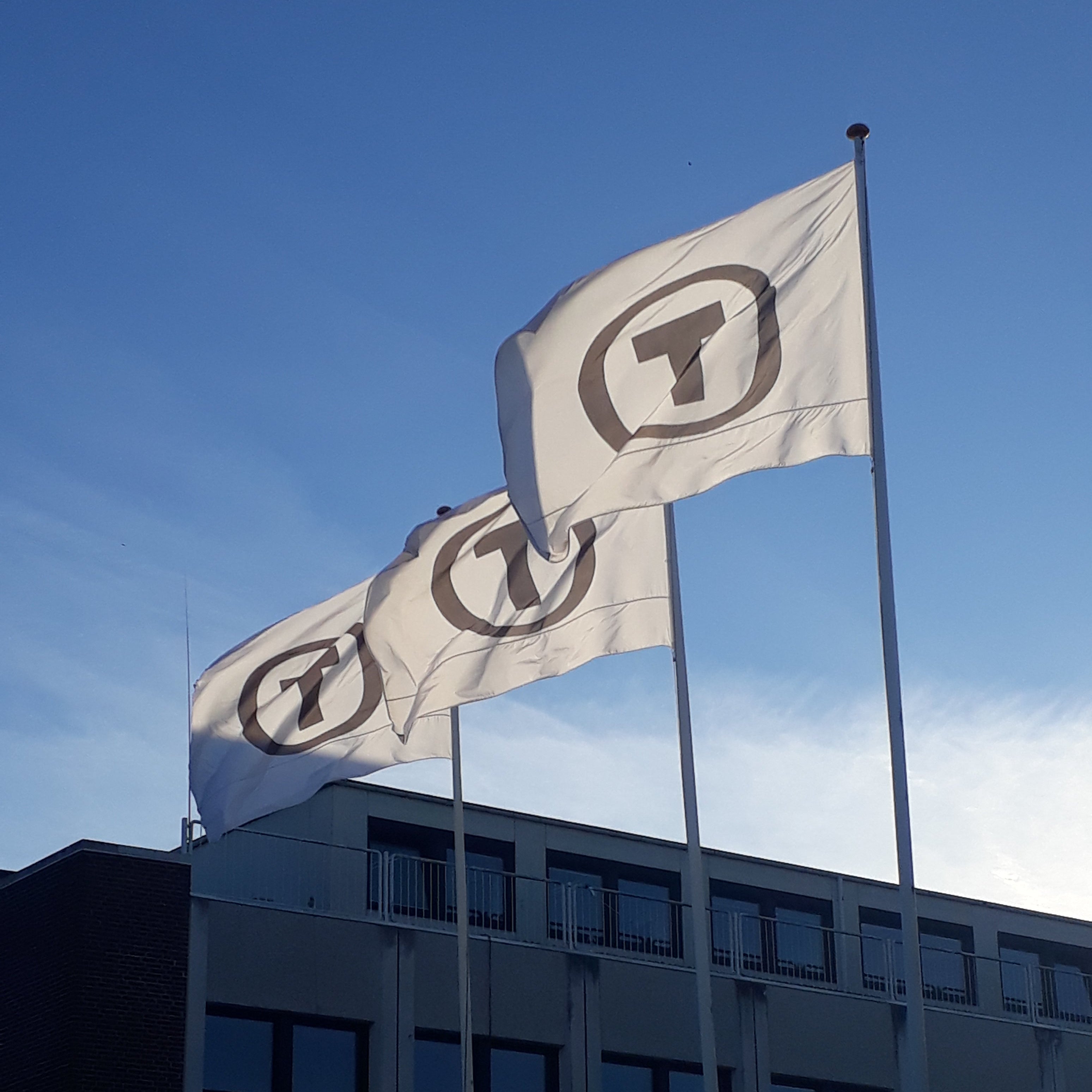 Flag med logo – Dannebrogsformat