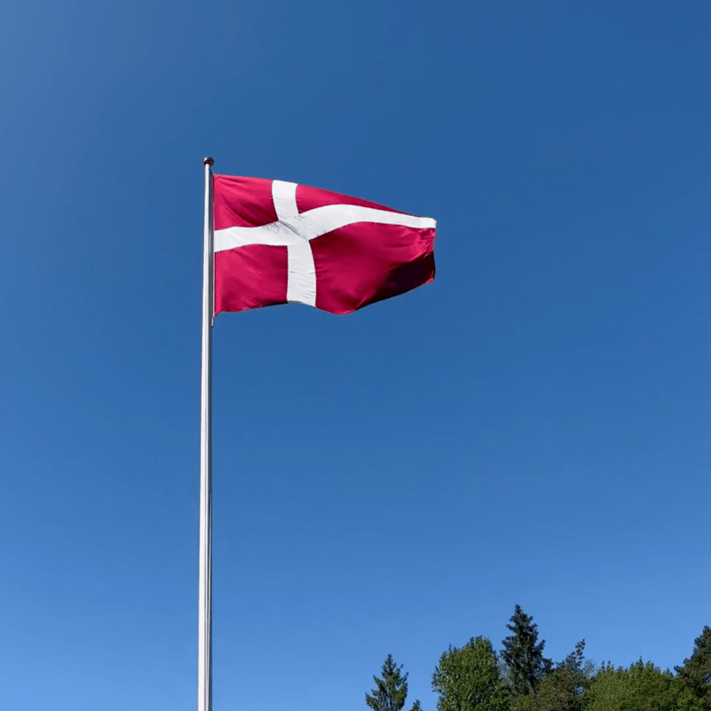Dannebrog - Det originale