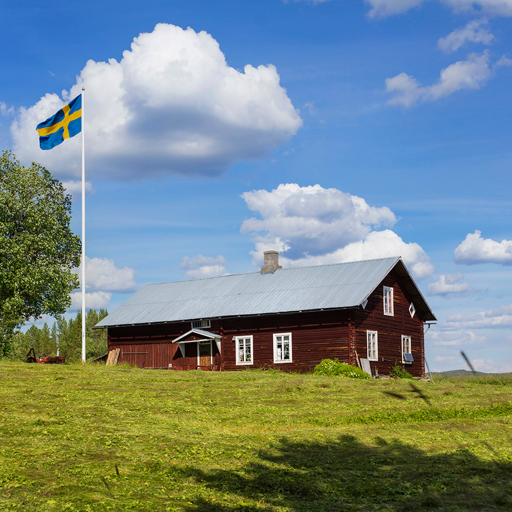 Svensk flagg