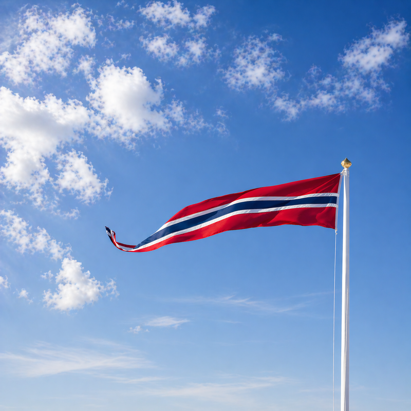 Norsk vimpel til flaggstang | Original, Historisk & Økonomi
