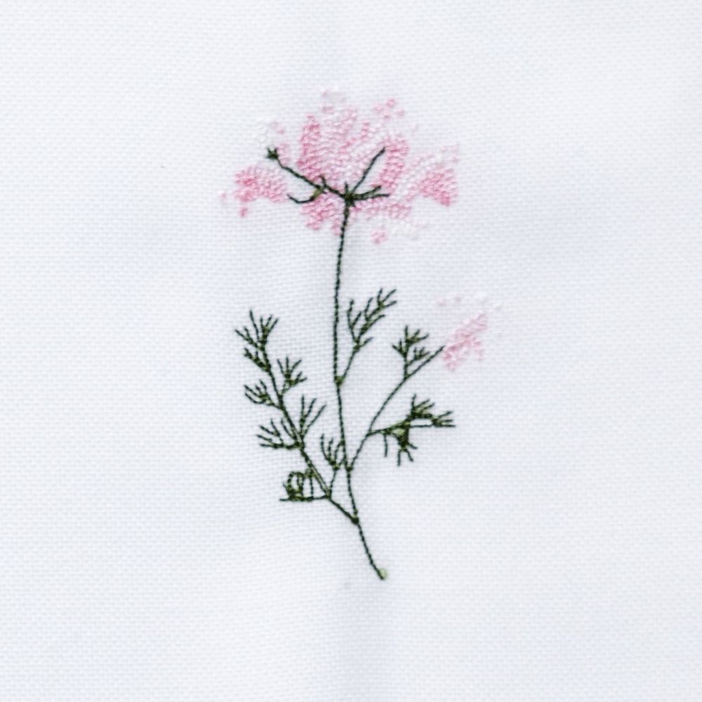 Flora serviett med vill gulrot blomst